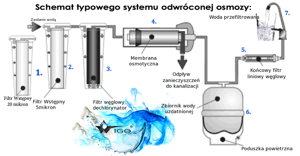 Przenikanie Wody W Procesie Osmozy Prowadzi Do Wyrównania Filtry do wody pitnej Wrocław
